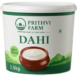 Pot of Prithvi Farms dahi